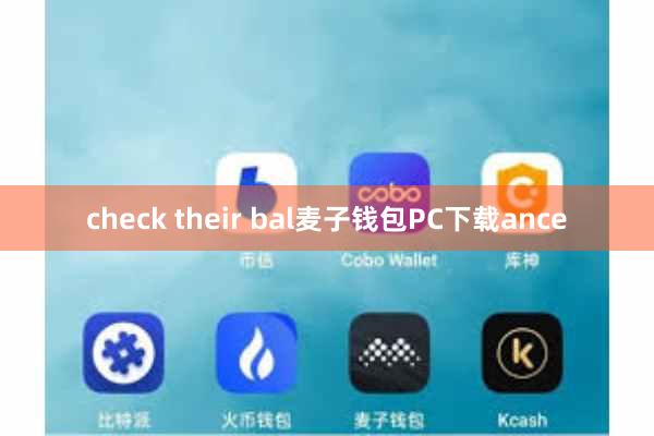 check their bal麦子钱包PC下载ance