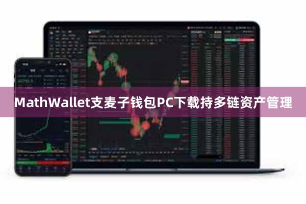 MathWallet支麦子钱包PC下载持多链资产管理