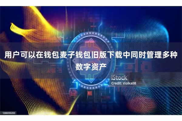 用户可以在钱包麦子钱包旧版下载中同时管理多种数字资产