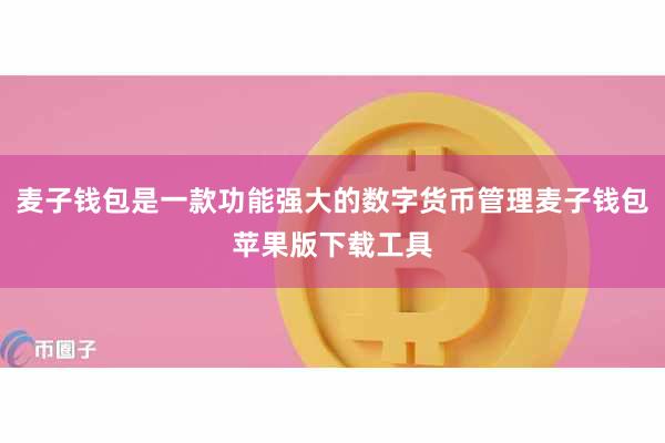 麦子钱包是一款功能强大的数字货币管理麦子钱包苹果版下载工具