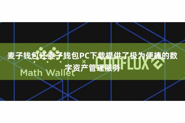 麦子钱包还麦子钱包PC下载提供了极为便捷的数字资产管理服务