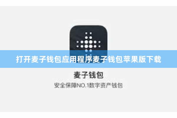 打开麦子钱包应用程序麦子钱包苹果版下载