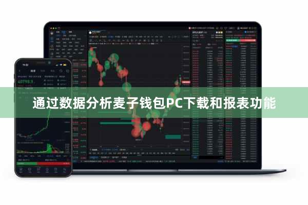 通过数据分析麦子钱包PC下载和报表功能