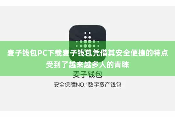 麦子钱包PC下载麦子钱包凭借其安全便捷的特点受到了越来越多人的青睐
