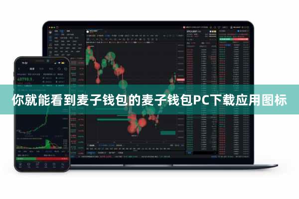 你就能看到麦子钱包的麦子钱包PC下载应用图标