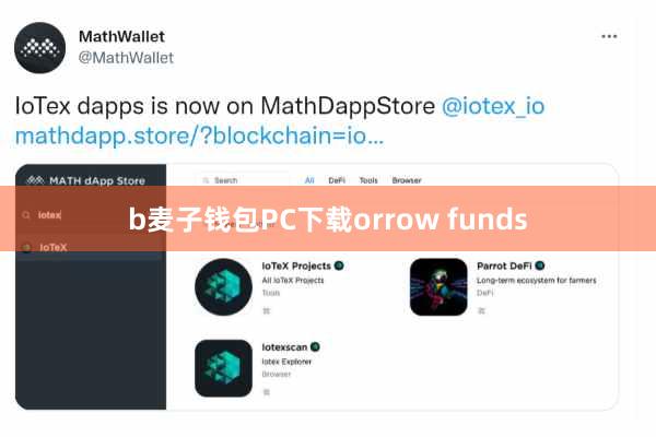 b麦子钱包PC下载orrow funds