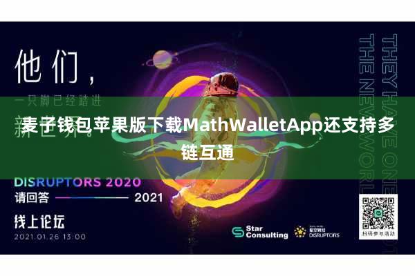 麦子钱包苹果版下载MathWalletApp还支持多链互通