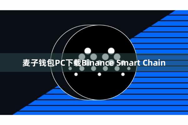 麦子钱包PC下载Binance Smart Chain