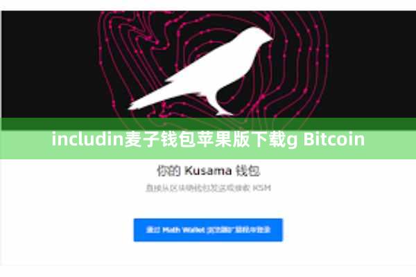includin麦子钱包苹果版下载g Bitcoin