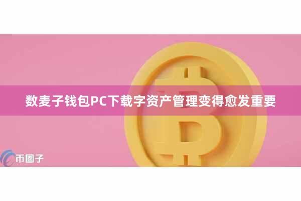 数麦子钱包PC下载字资产管理变得愈发重要
