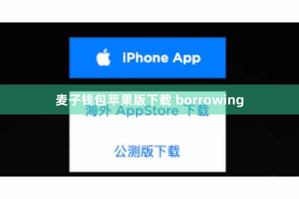 麦子钱包苹果版下载 borrowing