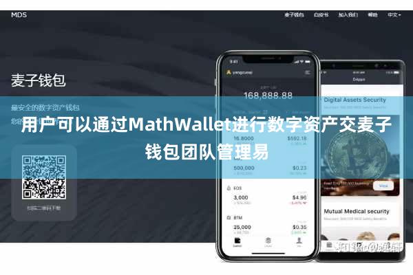 用户可以通过MathWallet进行数字资产交麦子钱包团队管理易