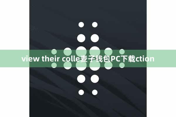 view their colle麦子钱包PC下载ction