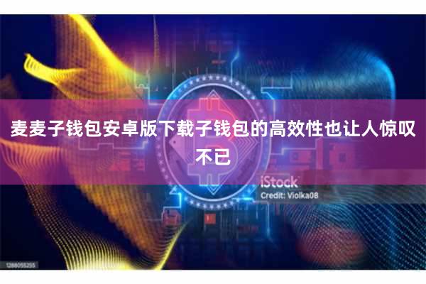 麦麦子钱包安卓版下载子钱包的高效性也让人惊叹不已