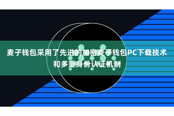 麦子钱包采用了先进的加密麦子钱包PC下载技术和多重身份认证机制