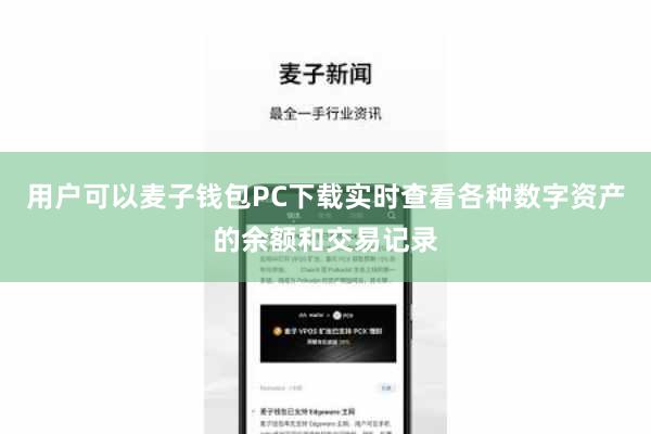 用户可以麦子钱包PC下载实时查看各种数字资产的余额和交易记录