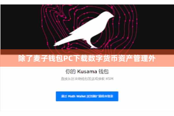 除了麦子钱包PC下载数字货币资产管理外