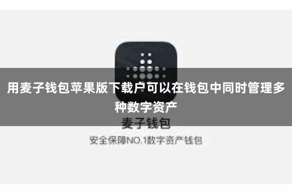 用麦子钱包苹果版下载户可以在钱包中同时管理多种数字资产