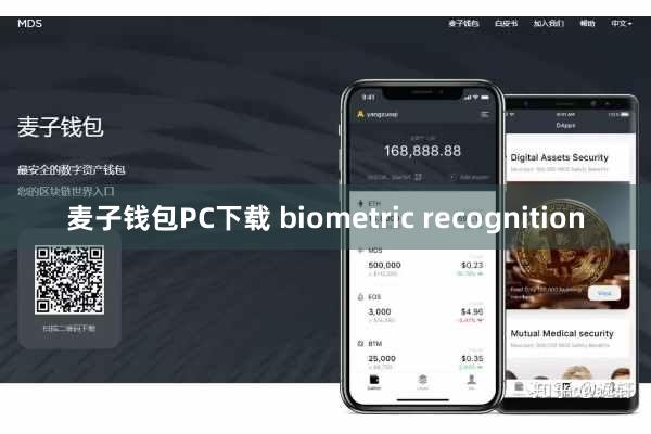 麦子钱包PC下载 biometric recognition