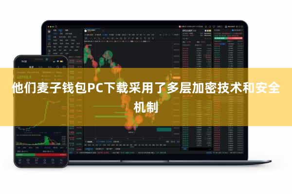 他们麦子钱包PC下载采用了多层加密技术和安全机制