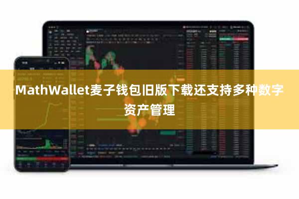 MathWallet麦子钱包旧版下载还支持多种数字资产管理